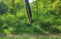 5855 Olney Run Road, Mcconnelsville, OH 43756