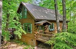 726 Cherry Lake Drive, Cherry Log, GA 30522