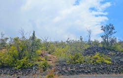OCEAN VIEW PKWY, Ocean View, HI 96737