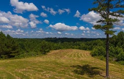 Bryon Ln., DOVER, TN 37058
