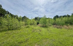 CR 2742, Naples, TX 75568