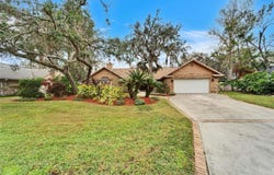 2913 ASTON Avenue, PLANT CITY, FL 33566