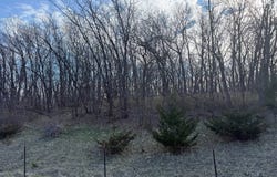 0 E 252nd Avenue, Eagleville, MO 64442