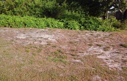 306 MAIN STREET, SEBASTIAN, FL 32958