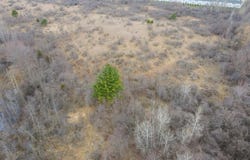 S Crawford Road, Mount Pleasant, MI 48858