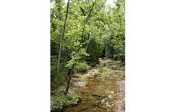 County Road 443, Cross Timbers, MO 65634