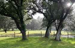 200 Meadow Lane, Mimbres, NM 88049