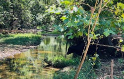 1528 State Highway B, Rogersville, MO 65742