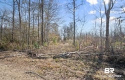 Bryants Landing Road, Stockton, AL 36579