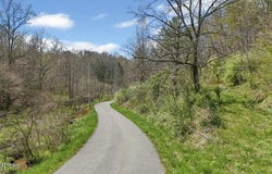 Roses Creek Rd, Clairfield, TN 37715