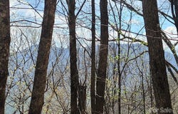 Skyline Drive, Waynesville, NC 28786
