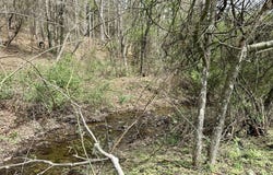 116 SPRUCE HOLLOW ROAD, MATHIAS, WV 26812