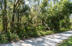 NE 358TH AVE, OLD TOWN, FL 32680