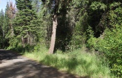 River Canyon Rd, Imnaha, OR 97842