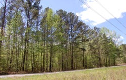 0 Egypt Mountain Road, Kittrell, NC 27544