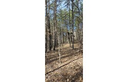 0 Orange LN, Troutville, VA 24175