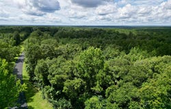 Tract 2 Gumpond Beall Road, Lumberton, MS 39455