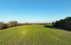 3615 WHITEVILLE-NEWCASTLE, Whiteville, TN 38075