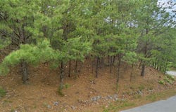 135 Chestnut Mountain Farms Parkway, McGrady, NC 28649