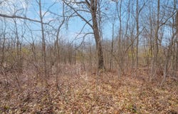 3 1/2 mile Road, Athens, MI 49011