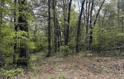 0 Center Street Highway, Sheridan, AR 72150