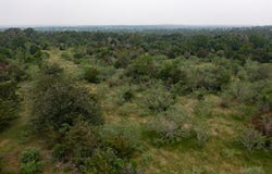 Private Road 4601 lot: 3, Waelder, TX 78959