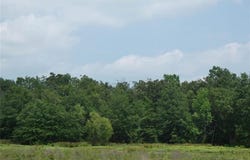 Tbd FM 1000, Mount Pleasant, TX 75455