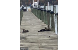 5898 COVE HARBOUR DRIVE, KING GEORGE, VA 22485