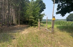 11482 Litzen Road, Copemish, MI 49625
