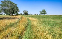 8101 Parkison Lane, Brenham, TX 77833