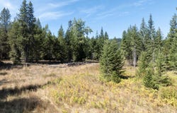 Two River lot: 1, Priest River, ID 83856