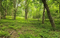 Xxx 120th Avenue, Amery, WI 54001