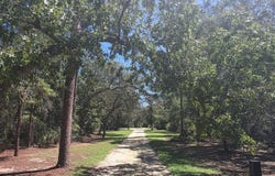 3435 N HIGHWAY 314A, SILVER SPRINGS, FL 34488