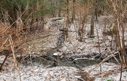 154 Walker Rd, Nineveh, NY 13813
