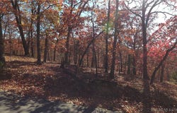 Dennison Drive lot: 64, Linn Creek, MO 65052