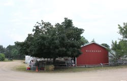 23148 WALLER Road, Fulton, IL 61252