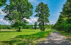 174 County Road 654, Mentone, AL 35984