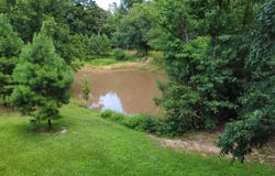 14437 Hwy 154, Harleton, TX 75651