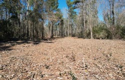 Tbd-d County Road 3198, Mount Enterprise, TX 75681