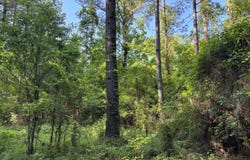 Beach Road, Roxie, MS 39661