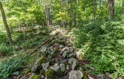 0 Sweet Hollow Road, Holland Twp., NJ 08848