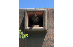 201 Alamo Drive, Santa Fe, NM 87501