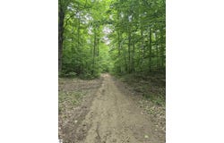 10 Acres VL Wildwood, Mancelona, MI 49659