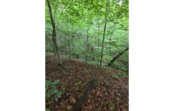Beechmont Road, Morehead, KY 40351