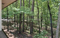 50 Monovar Circle, Hot Springs Village, AR 71909