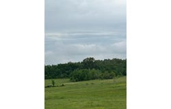 .0 County Road 249, Bloomfield, MO 63825