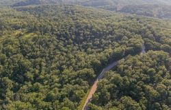 State Hwy Y, Willow Springs, MO 65793