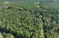 O Allen Cole Road, Ragley, LA 70657