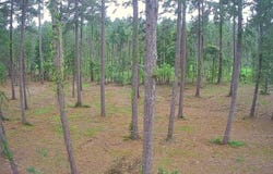 1 Carpenter, Jena, LA 71342