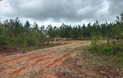 000 Pearce Chapel Road, Smithville, MS 38870